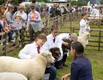 Malton Show 2024